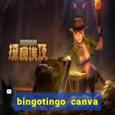 bingotingo canva pro gratis